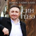 Нафис Гайфуллин - Син генэ (Original Mix)