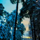 2SHOUT & Akseles - Frosted Dreams ()