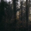 Trees Aside - Apathy ()