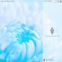 Aurora-bird (CHN) - Lost in Dreams