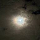 nowordcdx - moon sees you ()