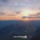 David Surok - Vibrate (Extended Mix)