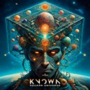 Known - Square Universe