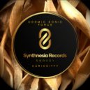 Cosmic Sonic Force - Curiositty (Radio Mix)