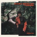 Charly Schaller - Television Static (Original Mix)