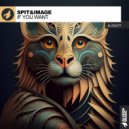 Spit&Image - If You Want (Original Mix)