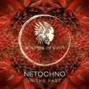 Netochno - In The Past (Extended Mix)