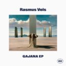 Rasmus Vels - Winter Geese