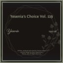 Robiin, Aushen - Gypsy Fluke (Original Mix)