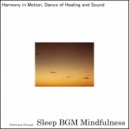 Sleep BGM Mindfulness - Sacred Sleep Embraced by the Gentle Strums of Astral Serenades (Original Mix)