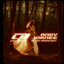 Andy Jornee - In the Moonlight