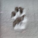 Relapso - CO (Original Mix)