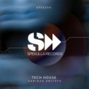 Selva Basaran, Deeplomatik - Mi Alma (Deeplomatik Remix)