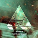 BRVINDXVD - Everything You Want (Original Mix)