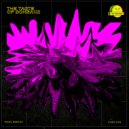 Pavel Bibikov - The Taste Of Schranz