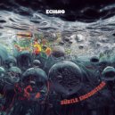 Echino - Quintessence