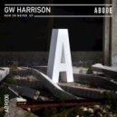 GW Harrison - When House Takes A Journey