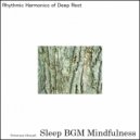 Sleep BGM Mindfulness - Sacred Whispers Reflecting the Serenades of Neurofeedback (Original Mix)