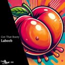 Labeeb - Got That Booty (Extended Mix)
