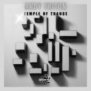 Andy Triton - Lunar Journey (Original Mix)