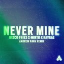 Disco Fries, Mintd & Kayrae - Never Mine
