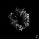 Aaron Suiss, Kaliko Flow - My Favorite Things (Original Mix)