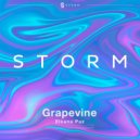 Elkana Paz - Grapevine (Extended Mix)