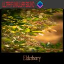 Ultra Funkular Sound - Elderberry (Extended Mix)