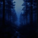 stoletnaedine - Numb ()