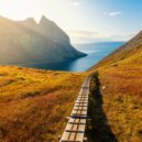 Relaxing Music Playlist Gold & Bird and Nature Sounds & Thunderstorm Soundscapes BNLXA - Calming Tunes Soften Anxiety