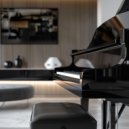 Piano Animal & Gentle Dog Harmonies & Relaxing Dog Music - Tranquil Piano for Dog Stress Relief ()
