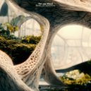 Tim Van Werd - Roots Of Tomorrow