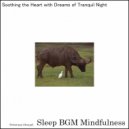 Sleep BGM Mindfulness - The Rhythms of Neurofeedback Soothe Sleep-Deprived Souls