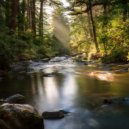 Guitar & Harmonica & My Little Guitar & Jazz Guitar Music Ensemble - The Flow Of Awareness
