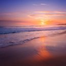 Guitar Player Institute & Hawaiian Steel Guitar & New York City Guitar Orchestra - Lost In Transcendence