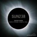 Shayan Pasha - Perfectionism