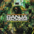 Phuture Assassins - Ganja Madness (Backdraft Remix)
