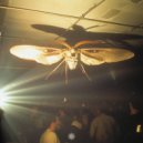 Harry Light - Steroid Paraloid
