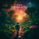 PiNUS - Cosmos