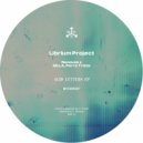 LibriumProject - Voltage Controlled Emotions (Original Mix)