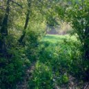 mysticalien - nooning ()