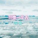 叶天 - 习惯一个人 (Original Mix)