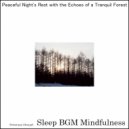 Sleep BGM Mindfulness - Healing Resonance in the Murmur of the Stream (Original Mix)