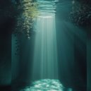 Arlo Mist - Stellify ()