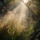 Eliana Fairchild - XAlula ()