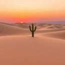 Prinolzad - Every Night ()