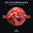 Stick2Breaks - Beautiful Sense