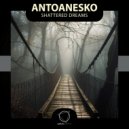 antoanesko - Shattered Dreams