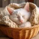 Ondas Alfa Puras & Música de gatito & Música para Gatos Paz - El Deslizamiento Silencioso De Un Gato Dormido ()