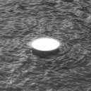 Cheolmin Lee - Hydroponics ()